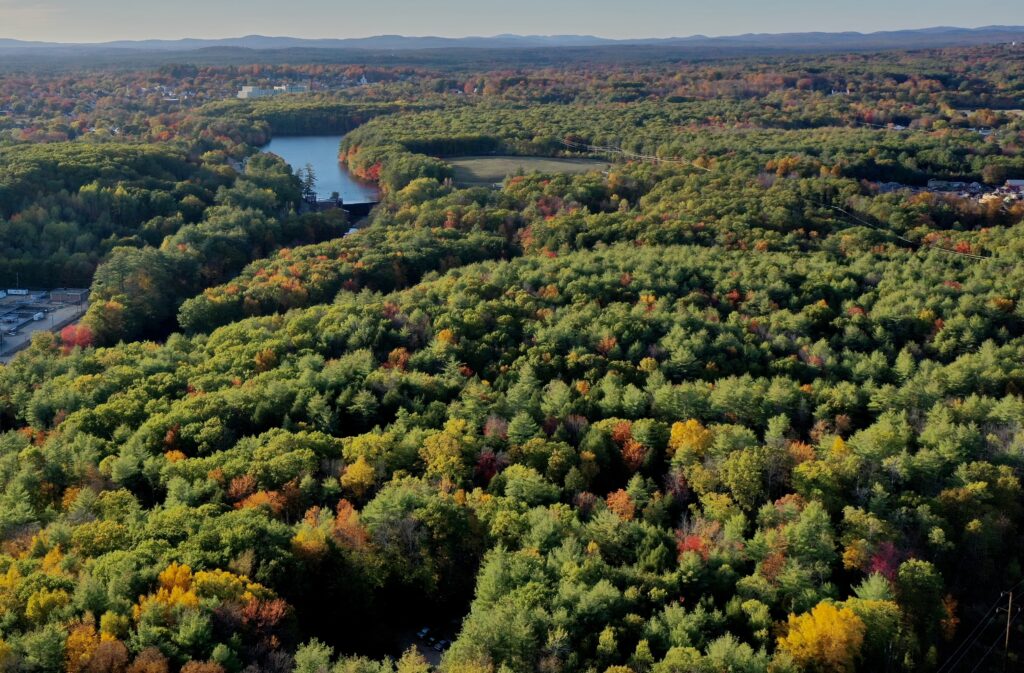 Aerial view of colorful autumn forest with river winding toward mountains under clear sky wallpaper