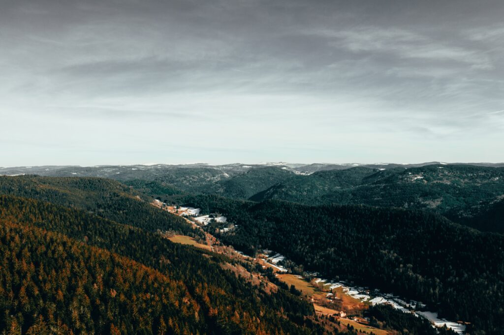 Aerial view of dense autumn forest with evergreen and golden trees on rolling hills sky background Wallpaper