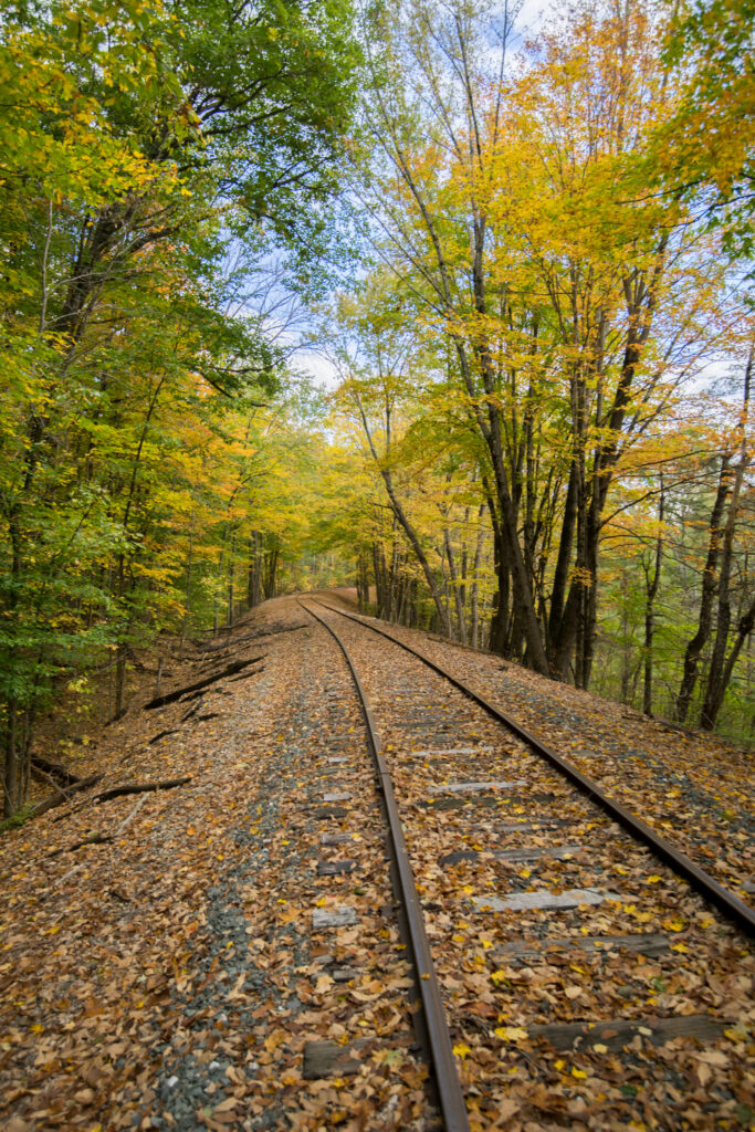 Scenic autumn forest railroad with vibrant yellow green leaves and peaceful fall nature view Wallpaper