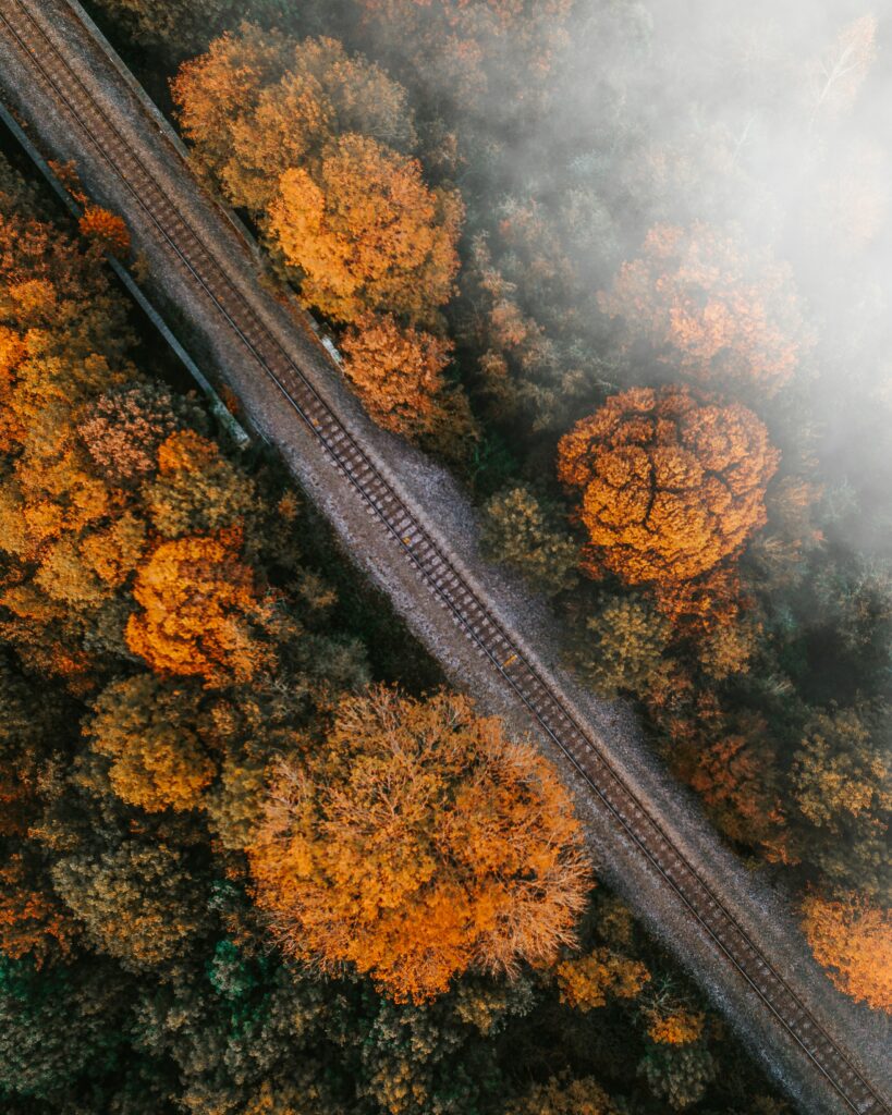 Aerial view of railway through misty autumn forest with vibrant orange and amber treetops Wallpaper