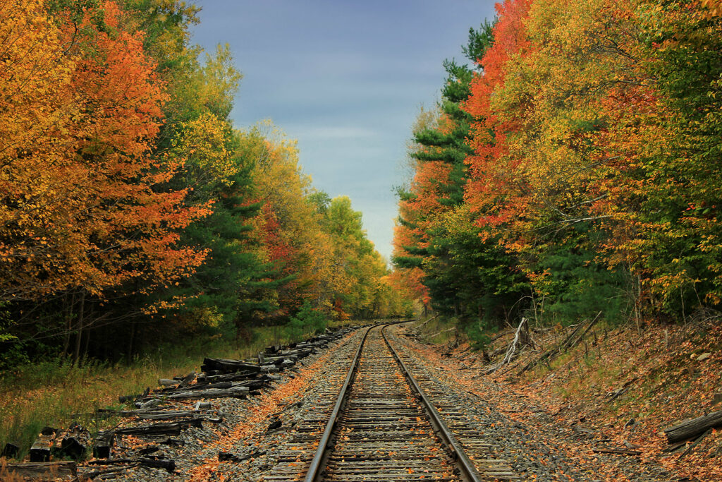 Railway track winding through vibrant autumn forest with colorful trees under blue sky wallpaper
