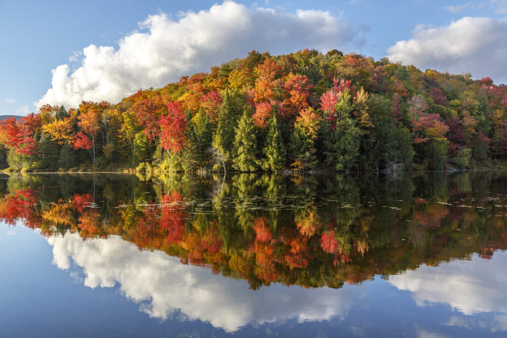 Autumn forest reflected in calm lake under blue sky with white clouds serene landscape wallpaper
