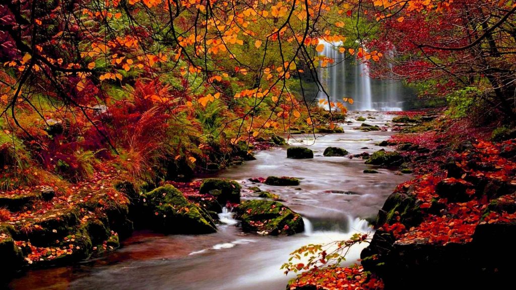 Autumn forest with red leaves flowing stream and majestic waterfall nature desktop wallpaper