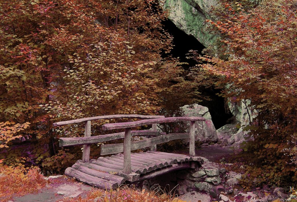 Rustic wooden bridge in autumn forest with red gold leaves rocks and shadowy cave background Wallpaper