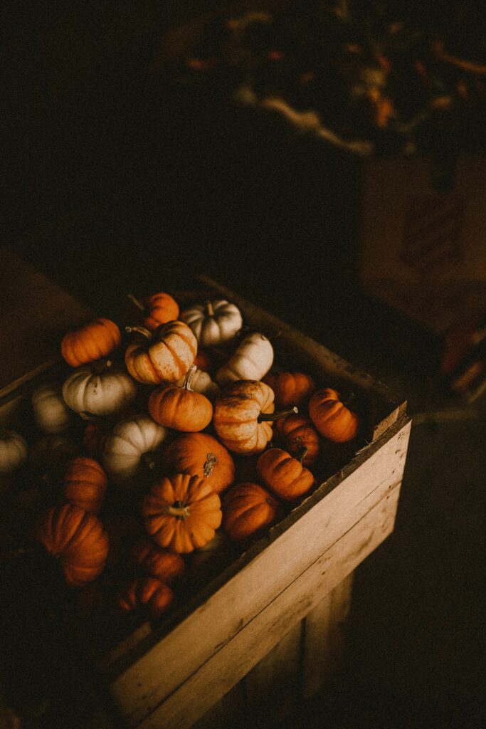 Warm Autumn Pumpkin Box: Cozy Fall Harvest Wallpaper Background