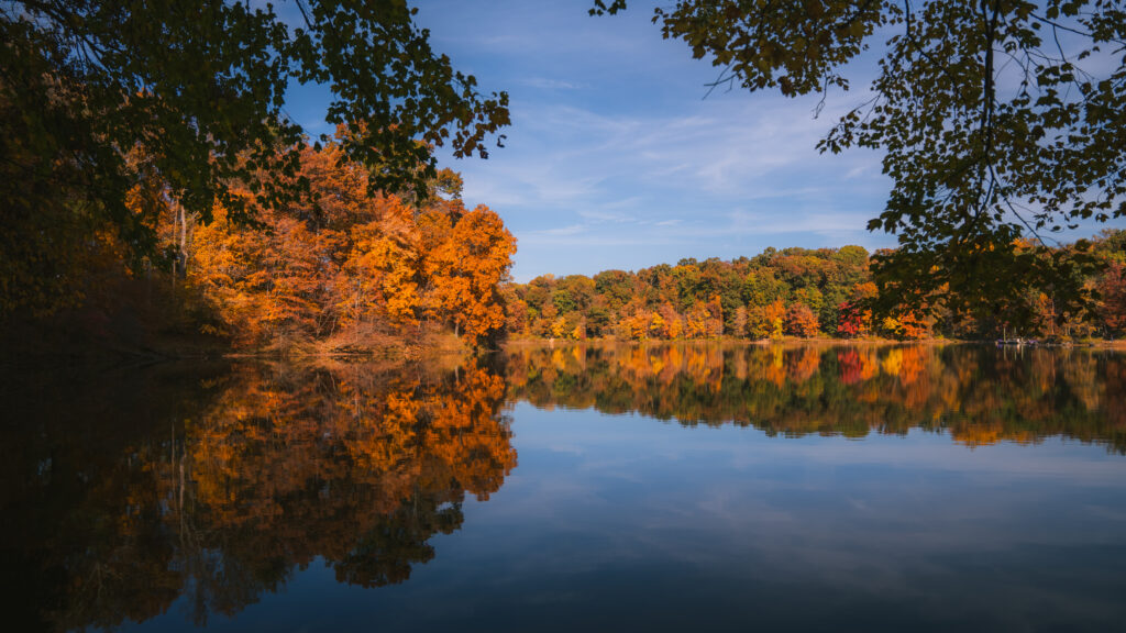Serene autumn lake landscape with vibrant orange yellow trees reflected on calm water under blue sky Wallpaper