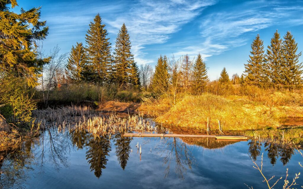 Serene lake with golden autumn forest reflected in clear water under bright blue sky wallpaper