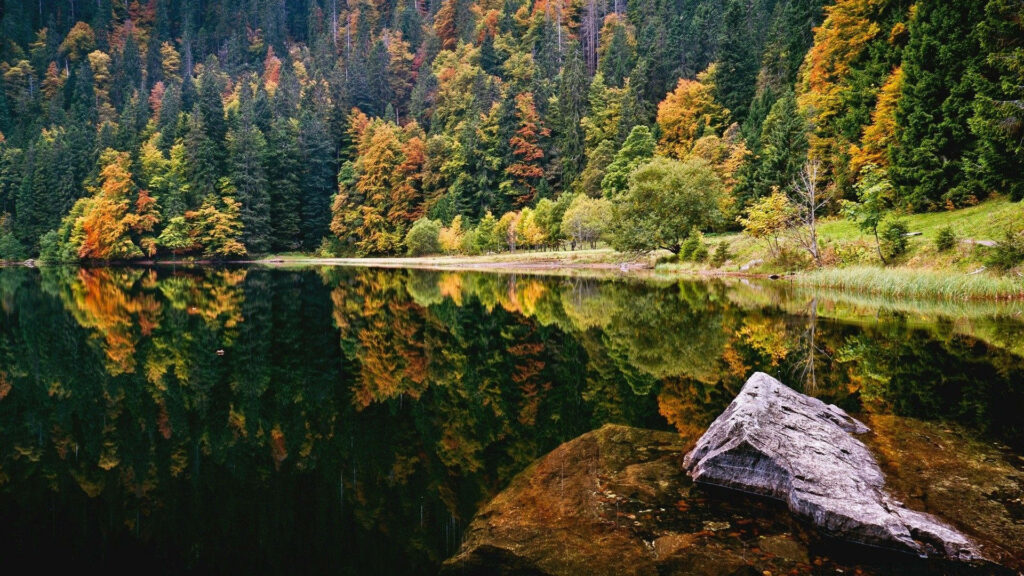 Serene Autumn Lake Wallpaper: Enchanting Forest Reflection
