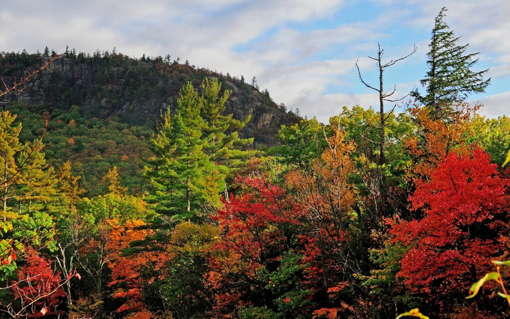 Autumn landscape with colorful red orange green trees rocky hillside and bright blue sky wallpaper
