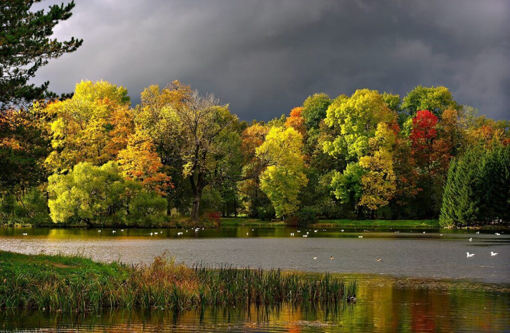 Autumn landscape with vibrant yellow orange and red trees reflected in pond under dramatic clouds Wallpaper