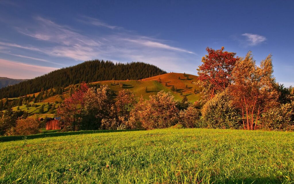 Autumn landscape with golden red trees rolling hills green grass blue sky peaceful wallpaper background