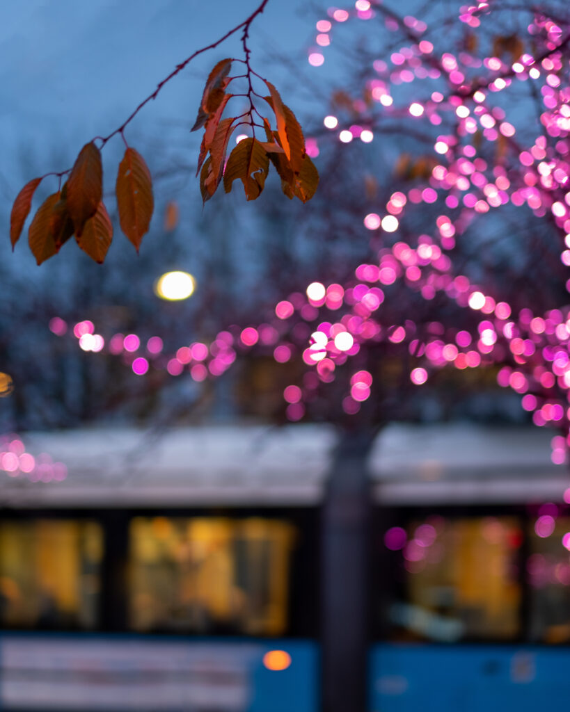 Autumn Leaves Wallpaper: Delicate Branch with Pink Garland Lights