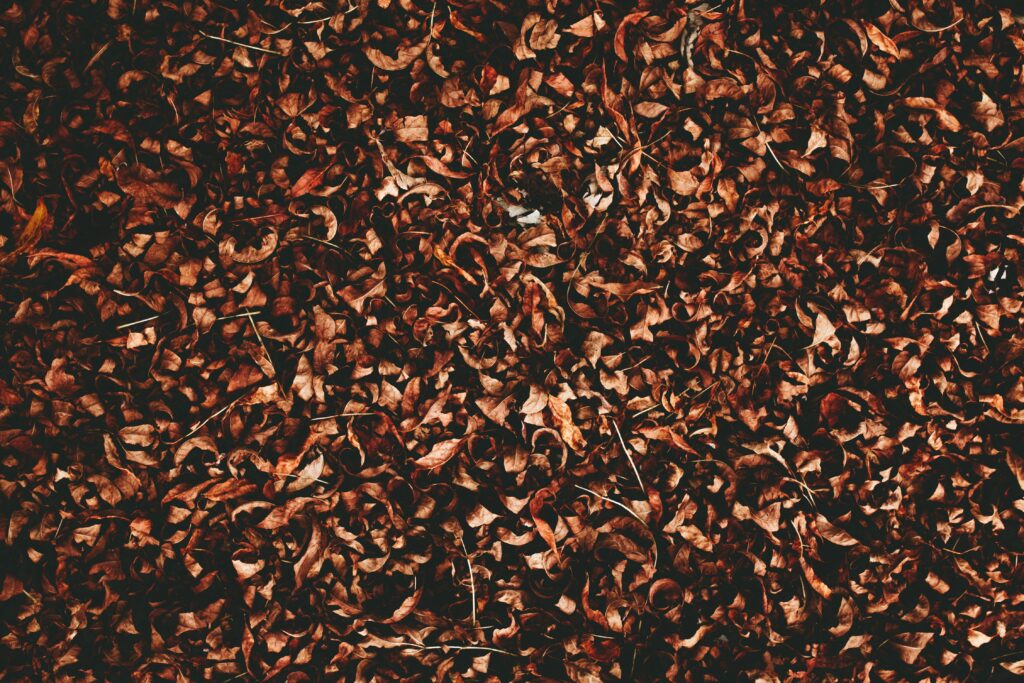 Dense dry autumn leaves wallpaper rich brown reddish tones fall foliage texture background