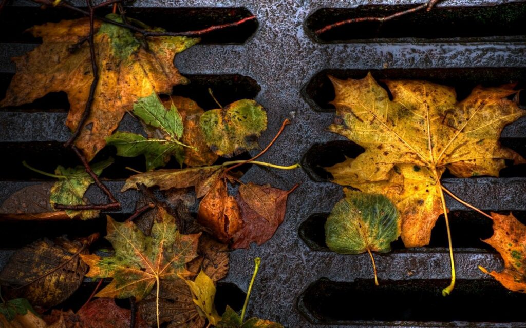 Vibrant yellow and brown autumn leaves on wet iron lattice with textured dirt background wallpaper