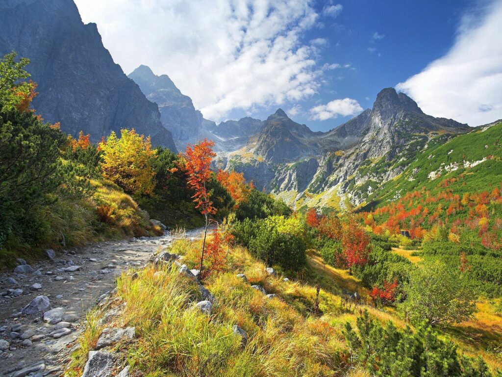 Autumn mountain landscape with rocky path vibrant colorful foliage clear sky and majestic peaks Wallpaper