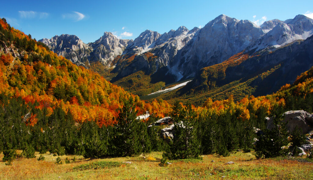 Autumn landscape wallpaper with fiery orange red gold trees mountains and clear blue sky