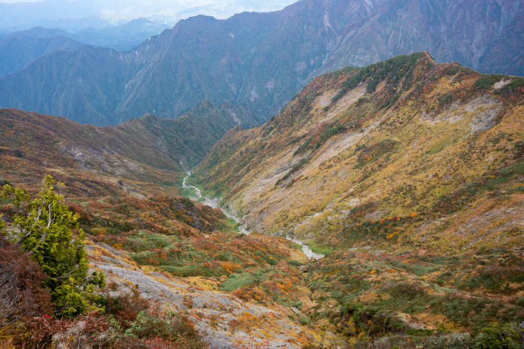 Autumn mountain landscape with golden slopes lush valley and winding stream under misty blue peaks Wallpaper