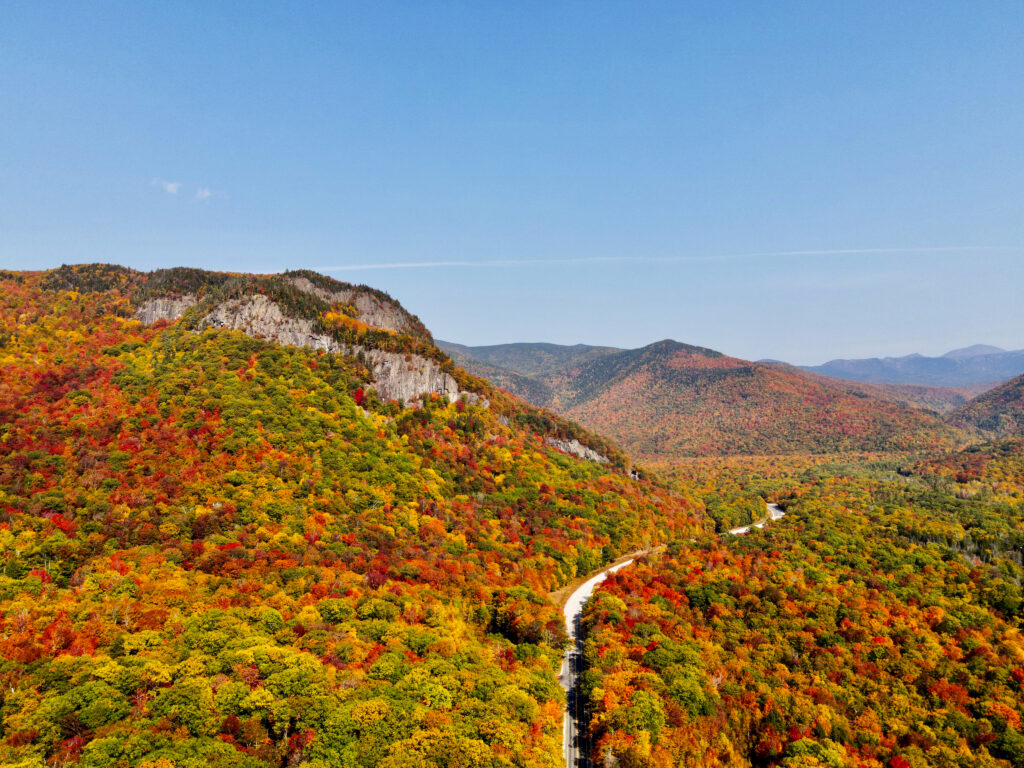 Aerial view of winding mountain road surrounded by dense autumn forest with colorful fall foliage Wallpaper