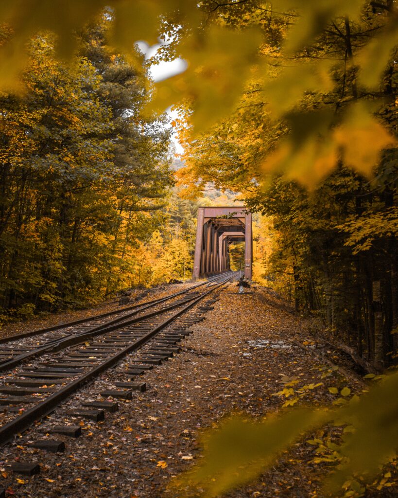 Railway track curving through dense autumn forest with vibrant orange yellow foliage and metal bridge Wallpaper