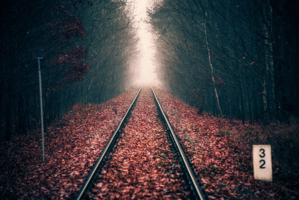 Railway tracks through autumn forest with orange leaves and misty moody sky wallpaper background