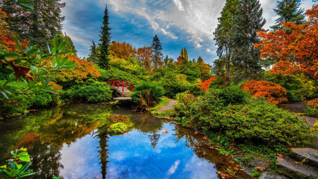 Enchanting Autumnal Splendor at Kubota Garden: Serene Reflections under Seattle's Vibrant Sky Wallpaper