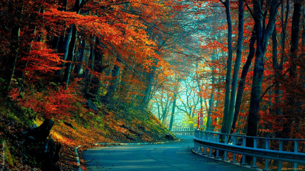 Enchanting Autumn Vistas: 3840x2160 Forest Road Image Perfect for Monitor Backgrounds Wallpaper