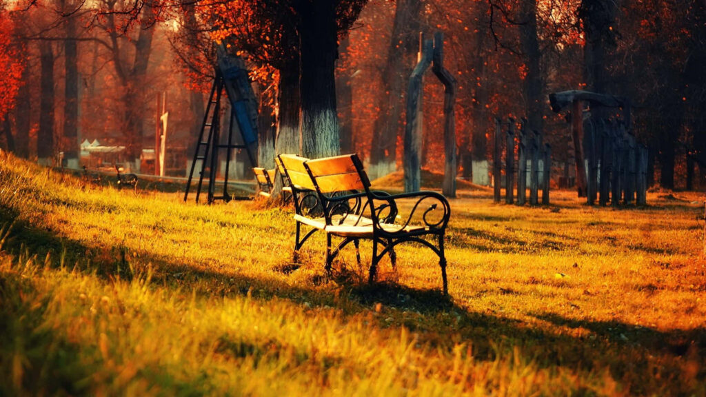 Autumn Serenity: Capturing the Beauty of a Playground Bench in High Definition Wallpaper
