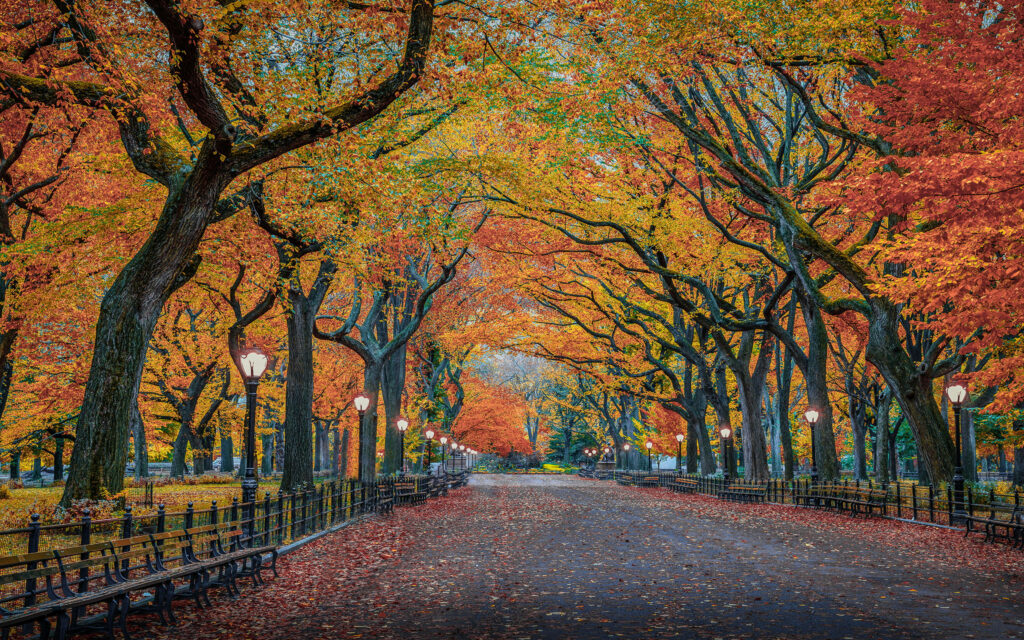 Autumn view of The Mall Central Park NYC colorful elm trees vintage lampposts serene walkway Wallpaper