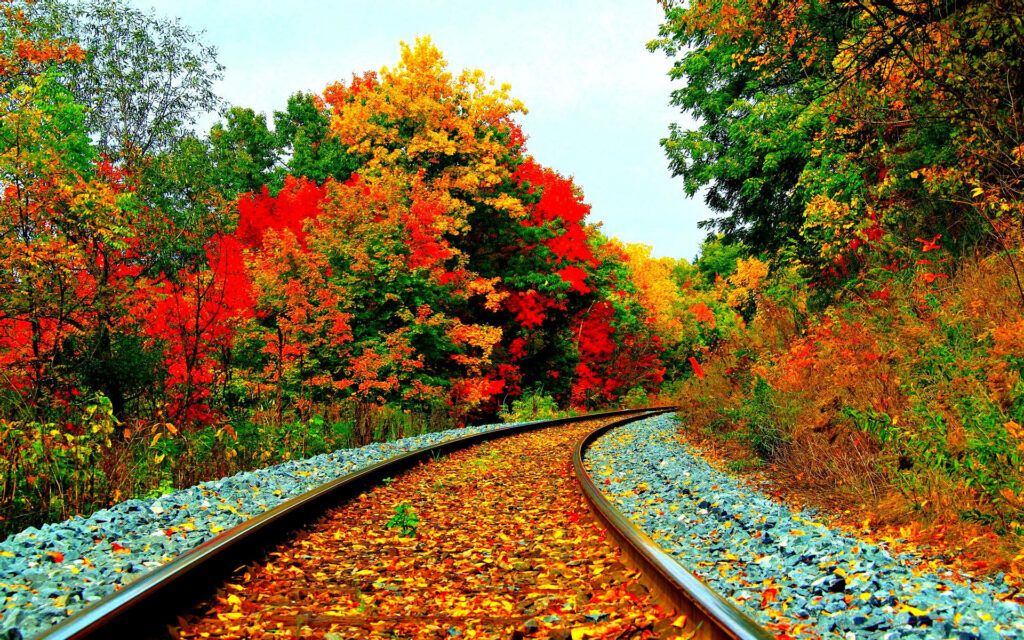 Vibrant Railway Path Inviting Autumn Splendor: A Breathtaking Seasonal Landscape Wallpaper