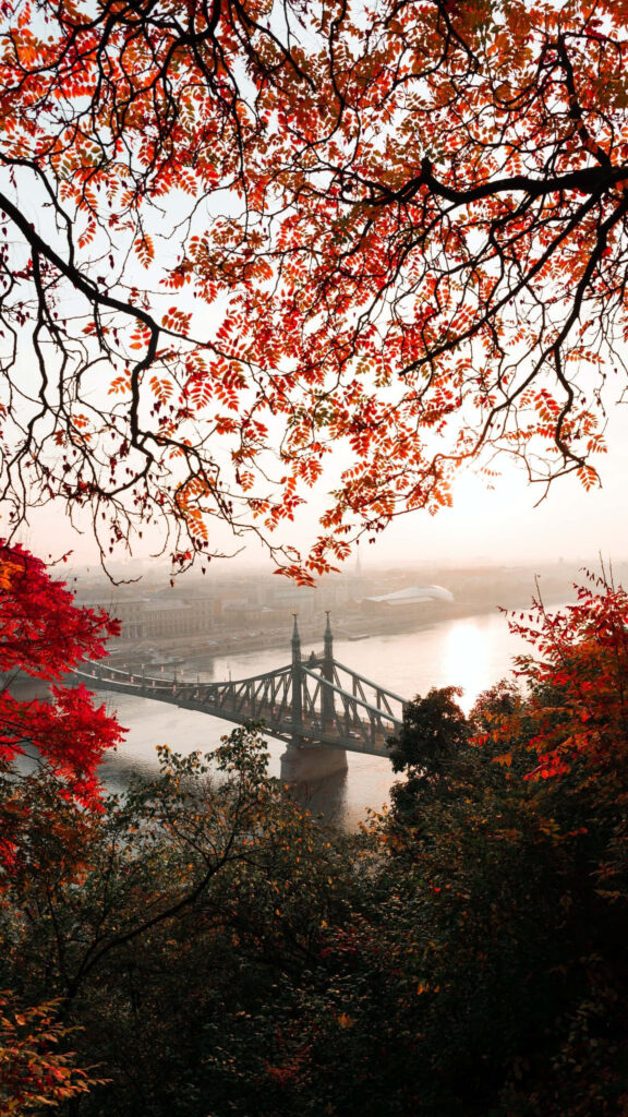 Autumn Elegance: A Stunning Bridge Over Red-Leaved Trees iPhone Wallpaper