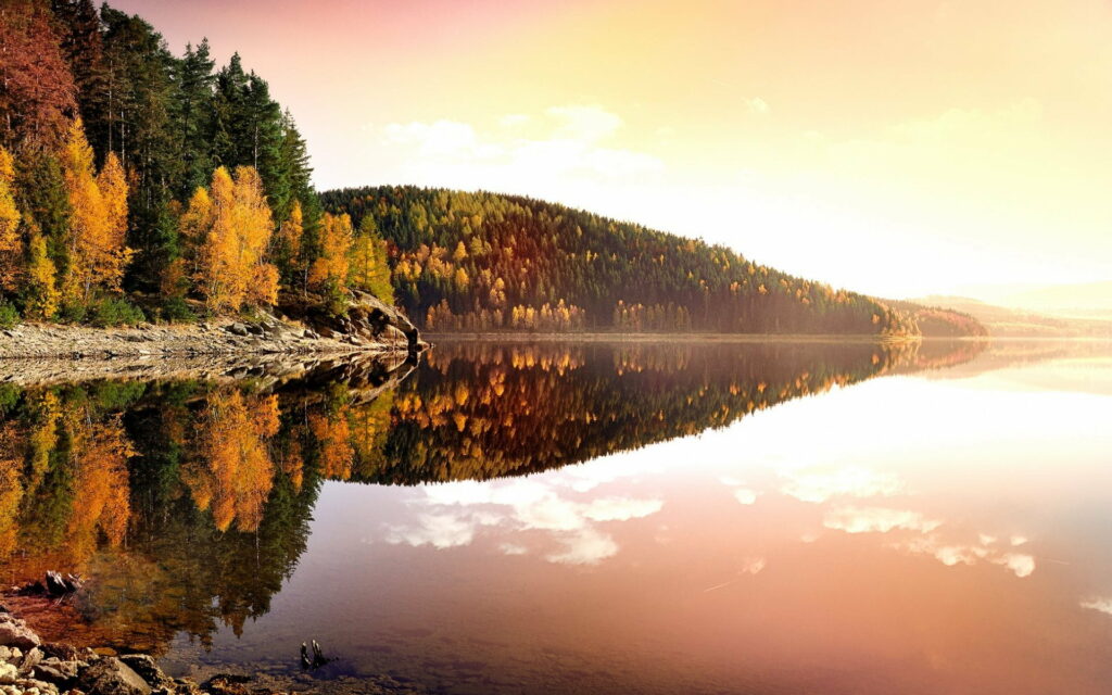 Enchanting Autumn Scenery at Ore Mountains in Germany: A Captivating HD Wallpaper
