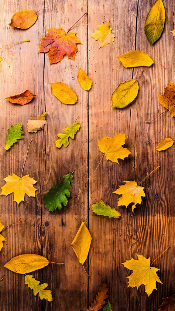 Maple Magic: Stunning Vibrant Green Leaves for Your Fall iPhone Wallpaper