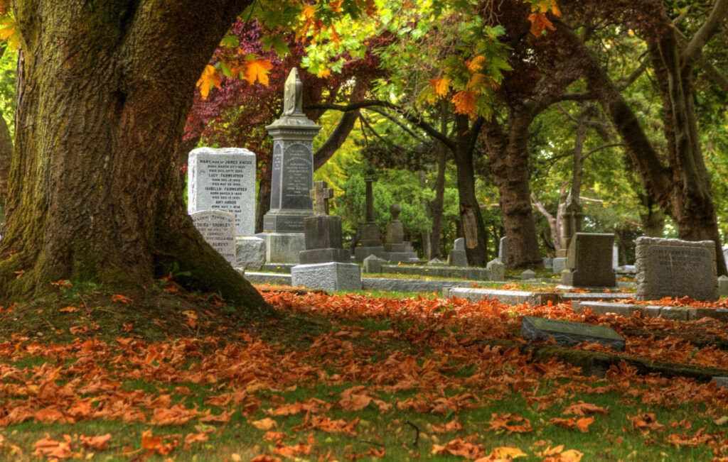 Historic graveyard in autumn with vibrant orange leaves and weathered tombstones in soft light Wallpaper