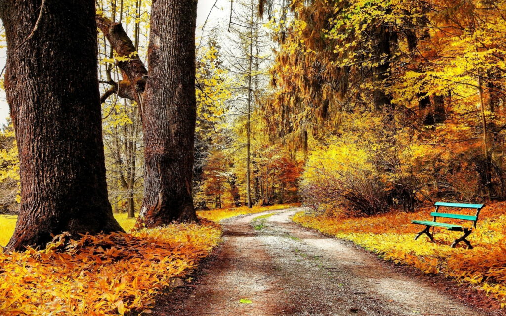 Vintage Park Bliss: Immersive QHD Autumn Wallpaper with a Full View