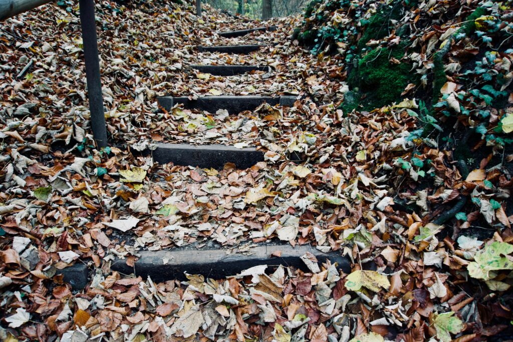 Autumn stone stairs covered with colorful fallen leaves in a warm rustic forest setting wallpaper