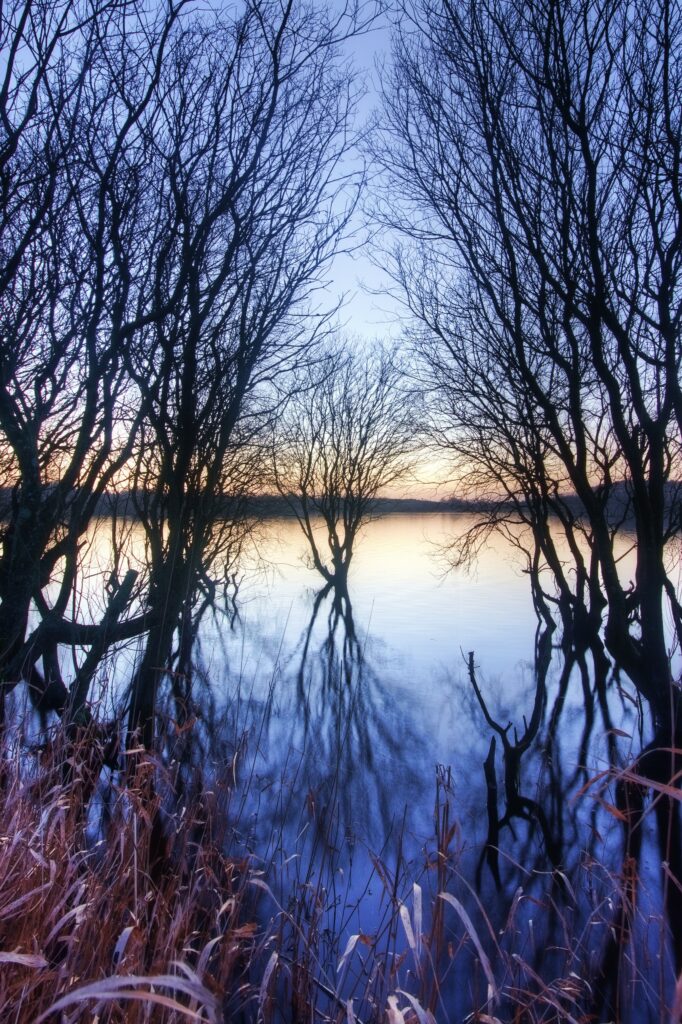 Silhouettes of bare trees reflecting on calm river at autumn sunset with warm and cool tones Wallpaper