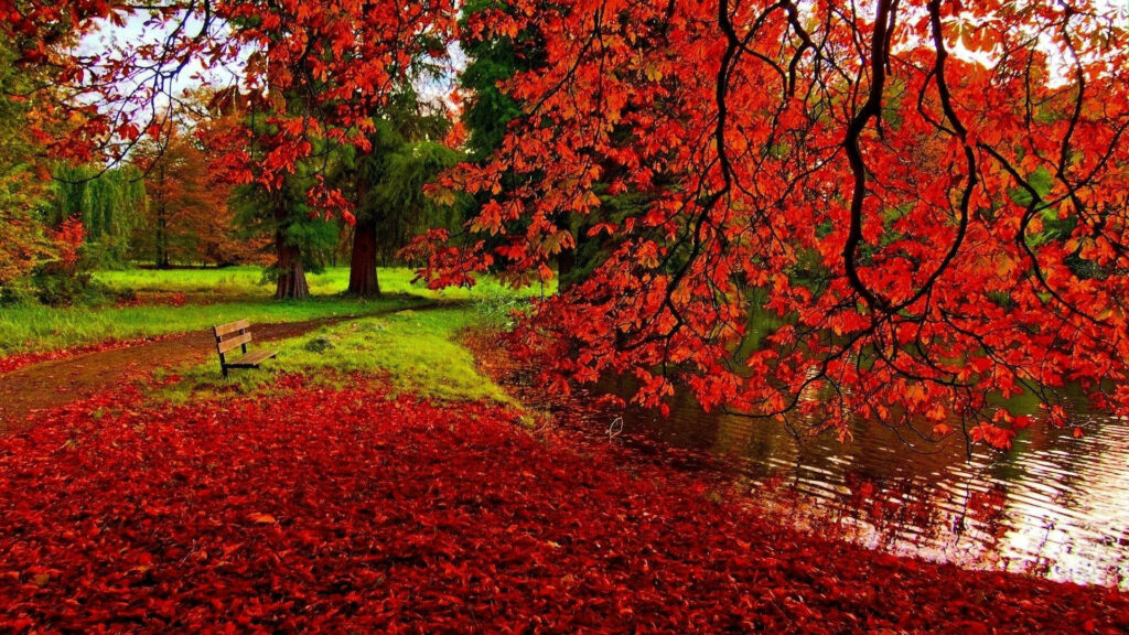 Enchanting Autumn Bliss: A Stunning Pond Retreat Amidst a Kaleidoscope of Red Maples and Rustic Foliage Wallpaper
