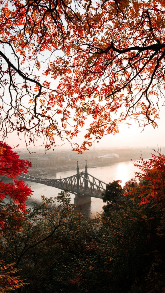 Autumn Charm in Budapest: Liberty Bridge Wallpaper Background