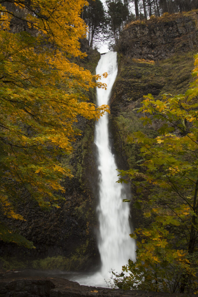 Waterfall cascading over rocks surrounded by vibrant yellow and green autumn leaves serene scene Wallpaper