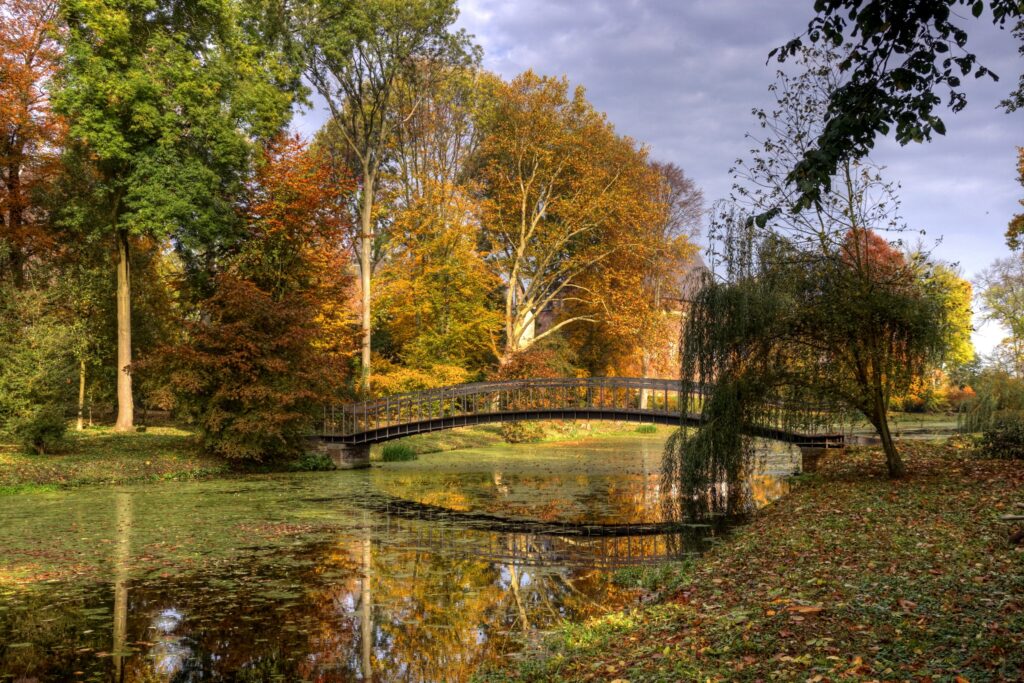 Serene Netherlands autumn landscape with charming bridge over calm river and colorful foliage Wallpaper