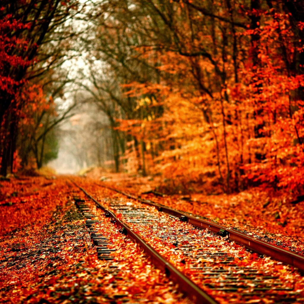 Enchanting Autumnal Train Track Retreat for your Ipad Wallpaper
