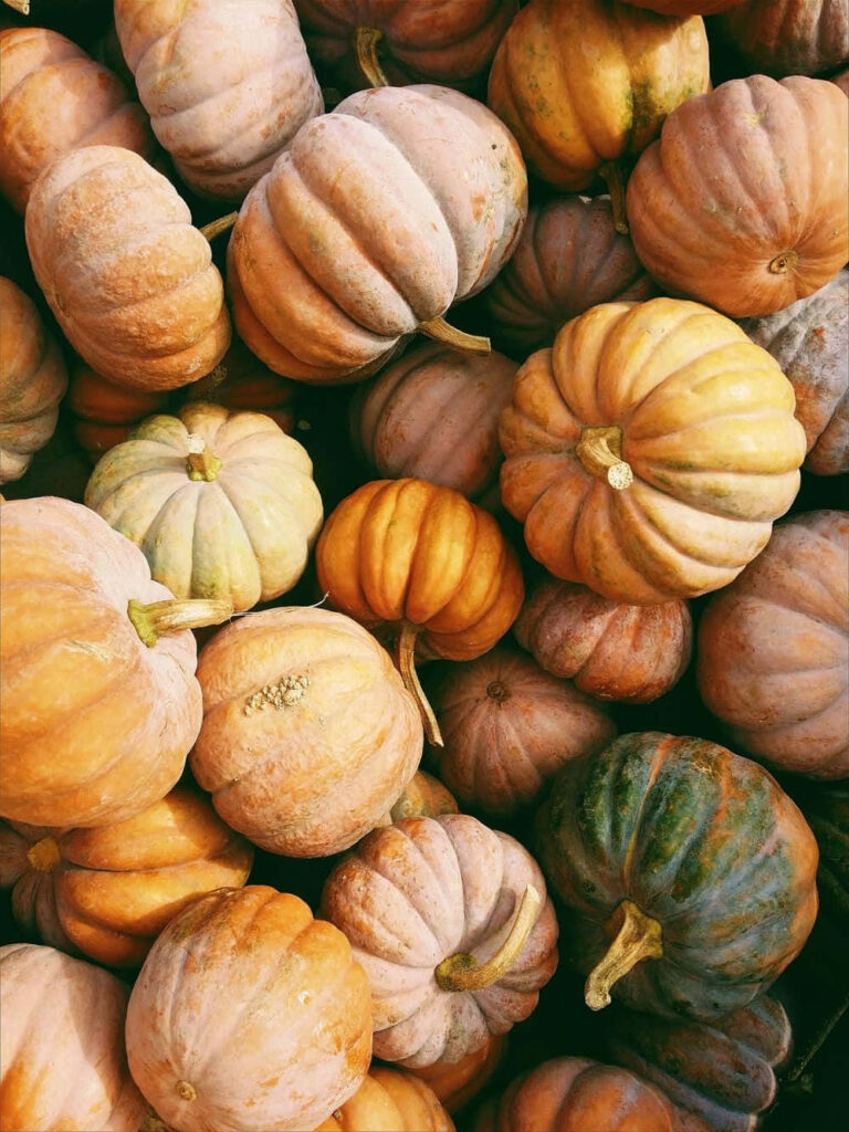 Rustic Pumpkin Wallpaper: Vibrant Autumnal Tones & Seasonal Charm
