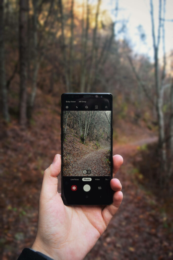 Framing Autumn: Capturing the Essence with a Mobile Camera Wallpaper