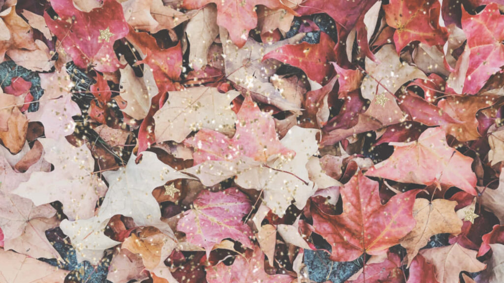 Vibrant Fall Foliage Engulfs an Autumn-Themed Desktop Background Wallpaper