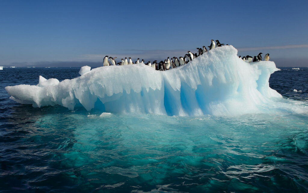 High-Resolution Nature's Awesome Ice Sculpture: Penguins in the Ocean - a Desktop HD Wallpaper Background Photo