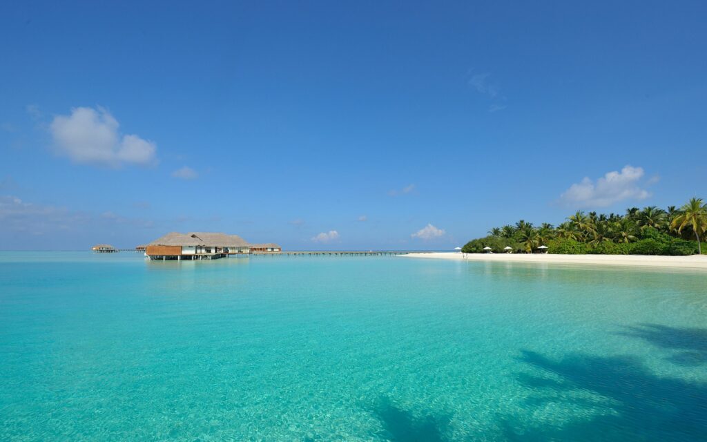 Tropical paradise wallpaper with thatched bungalows clear blue sky crystal waters palm trees peaceful