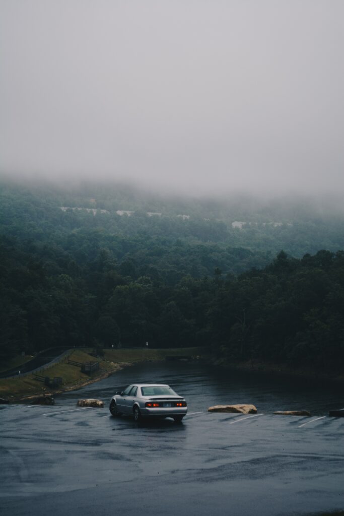 BMW Series 6 on Misty Overlook: Serene Forested Background Wallpaper