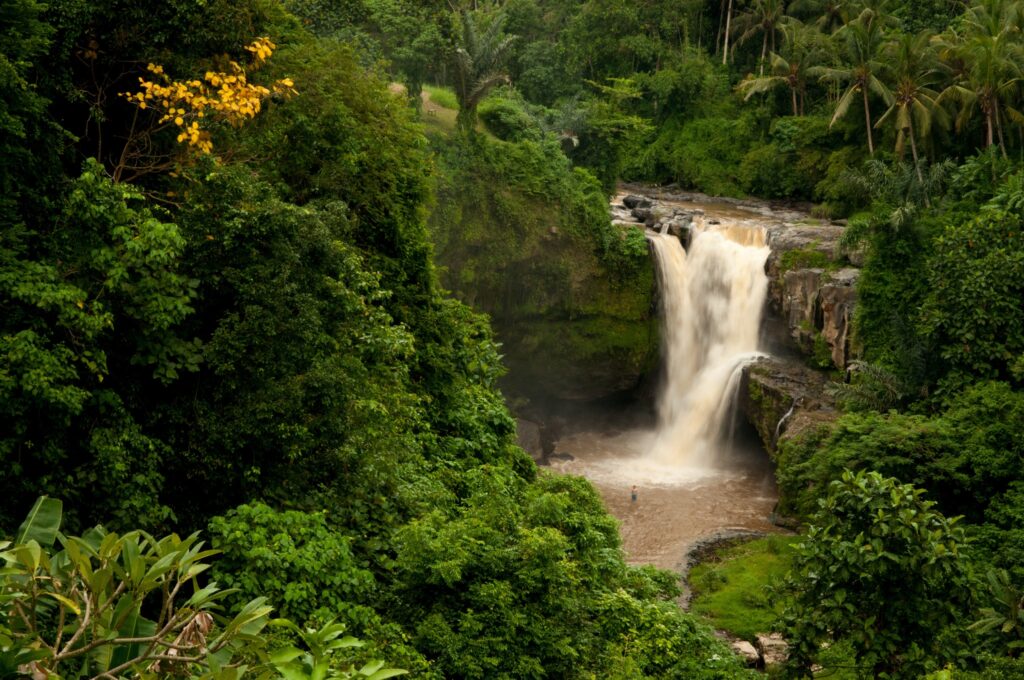 Bali waterfall cascading into rocky pool surrounded by lush tropical forest and palm trees wallpaper