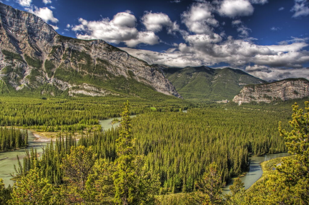 Banff Alberta landscape HDR wallpaper with towering mountains lush pine forests and winding river