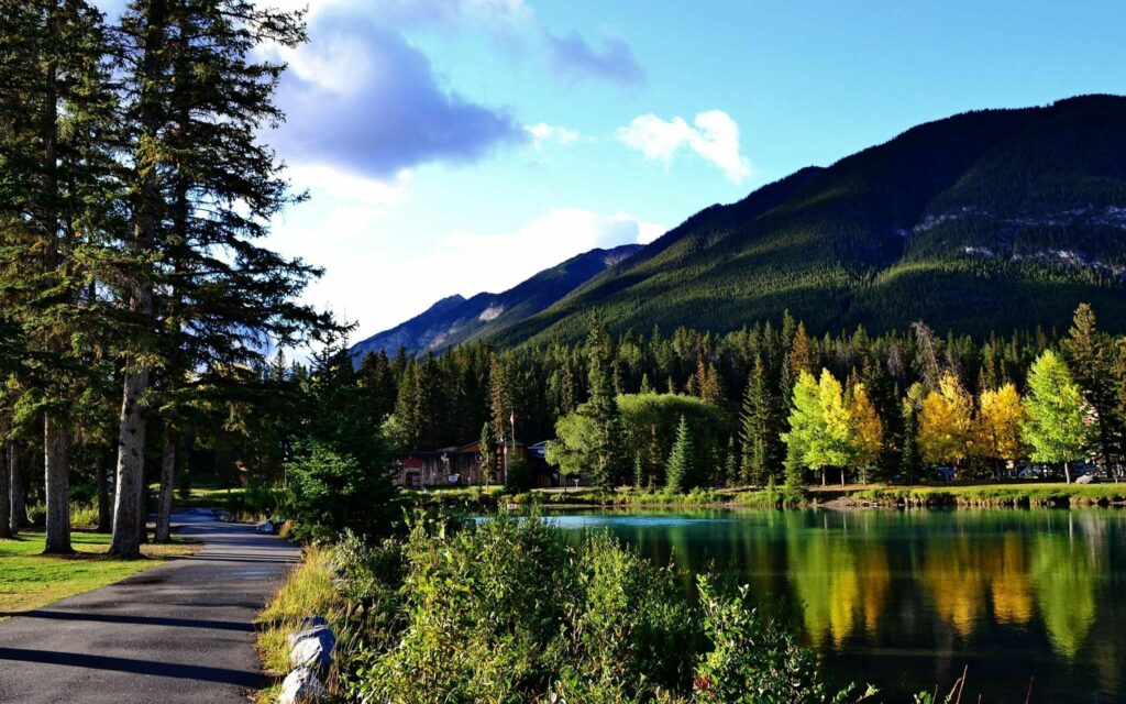 Banff National Park wallpaper with river reflecting autumn trees and mountains under clear sky